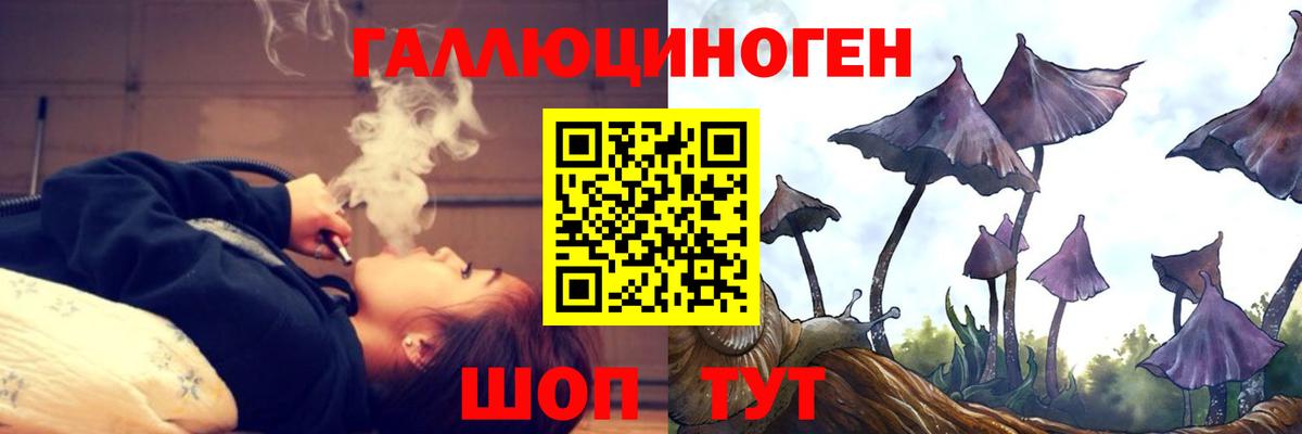 Тельмана  дарнет шоп  Вход с VPN  Псилоцибиновые грибы MAGIC MUSHROOMS 